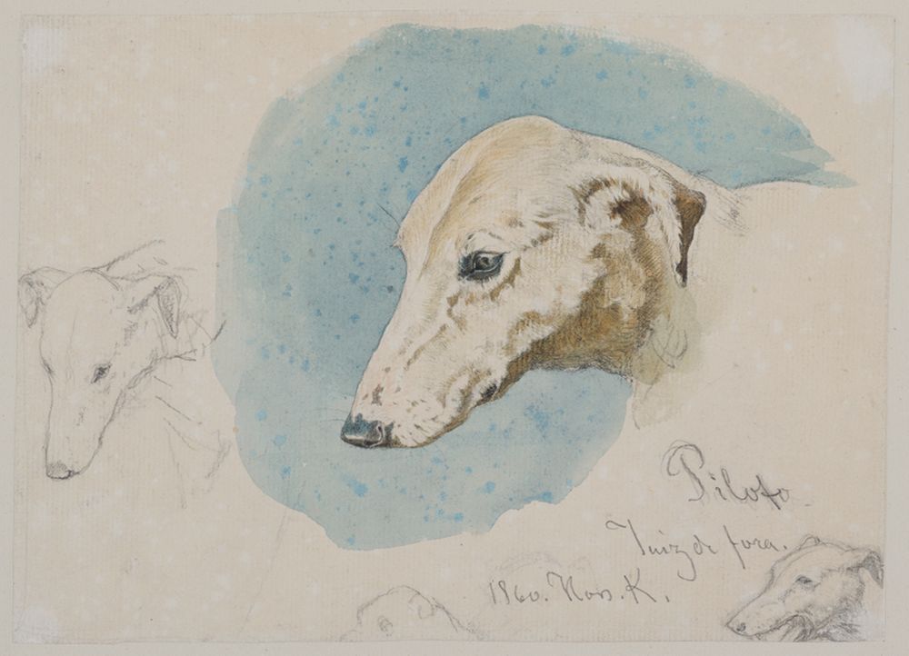 Ferdinand Keller - Studienblatt mit Hundeköpfen