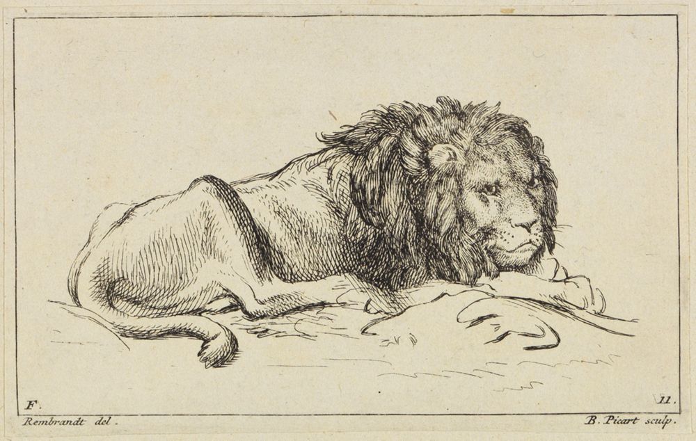 Bernard Picart (1673) - Liegender Löwe nach rechts