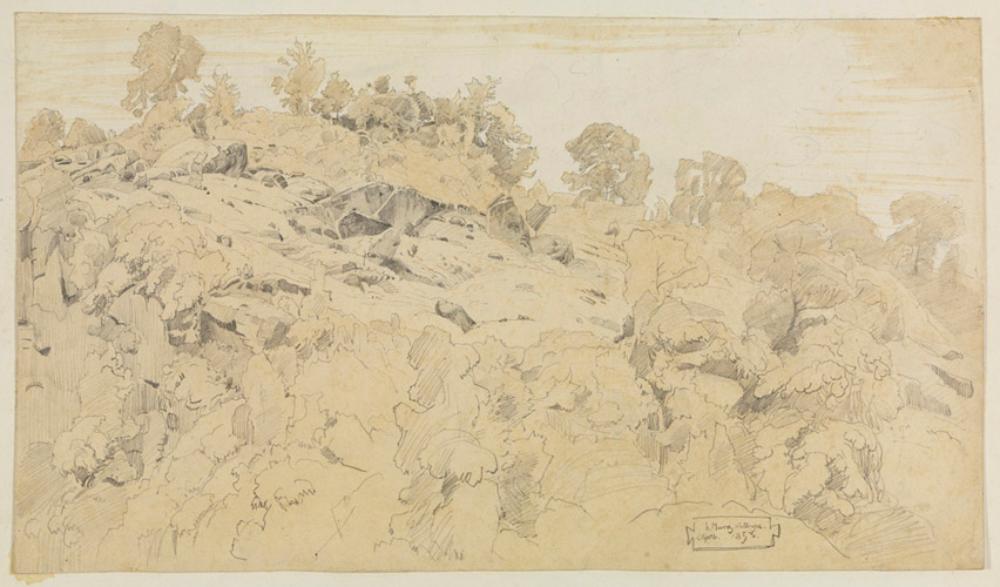Heinrich Ludwig (1829) - Steiniger Berghang bei Murg am Walensee/Schweiz
