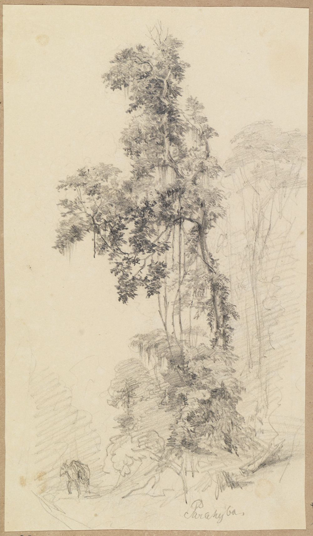 Ferdinand Keller - Baumstudie im Urwald mit skizziertem Lasttier