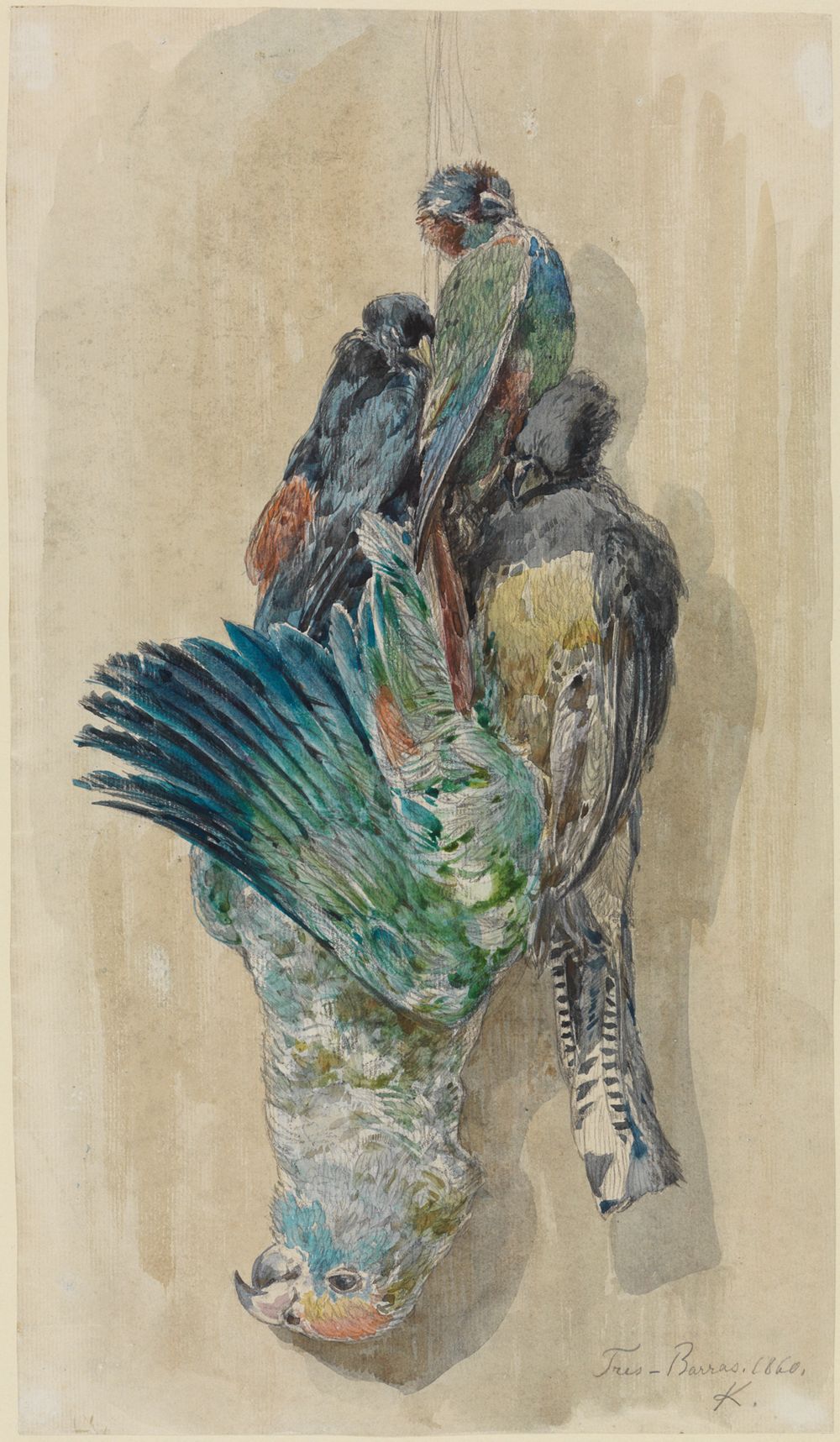 Ferdinand Keller - Studie erlegter Papageien und anderer Vögel
