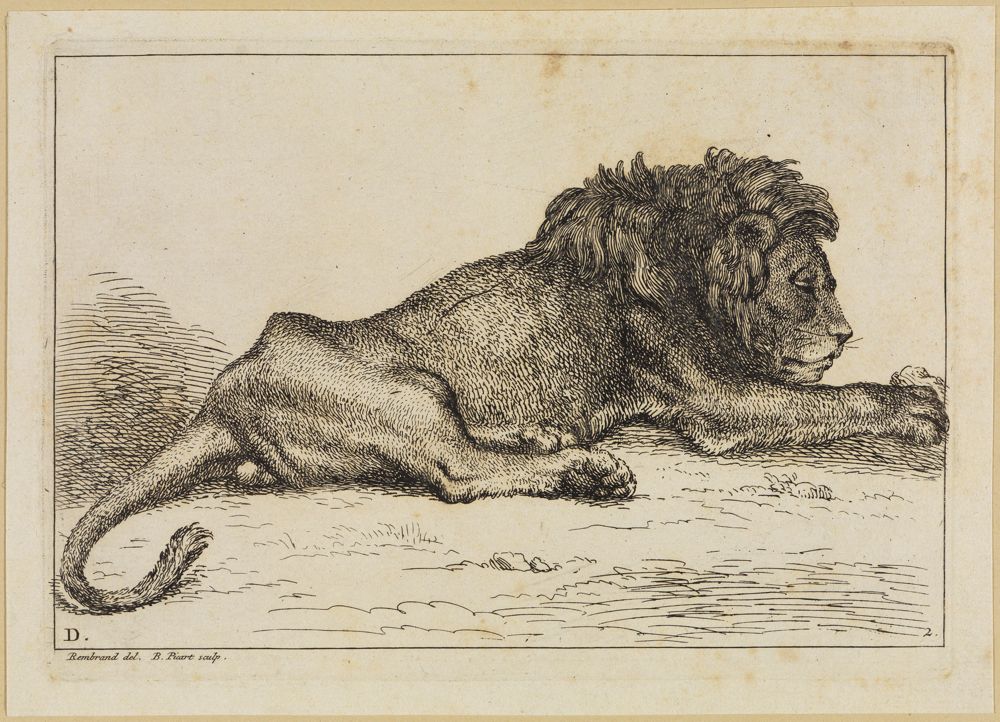 Bernard Picart (1673) - Fauchender Löwenkopf