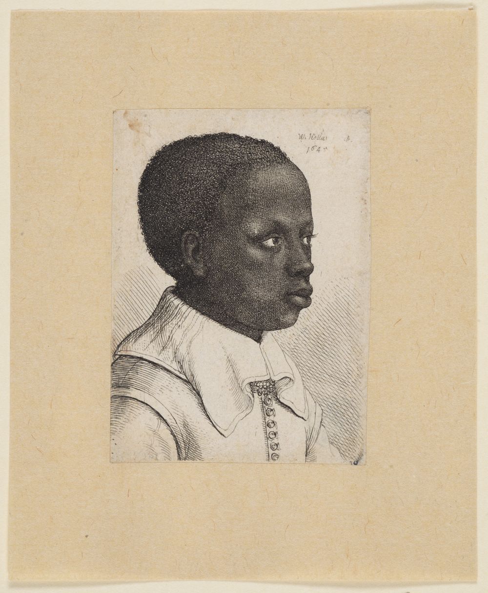 Wenzel Hollar - Brustbild eines schwarzen Jungen im Dreiviertelprofil nach rechts