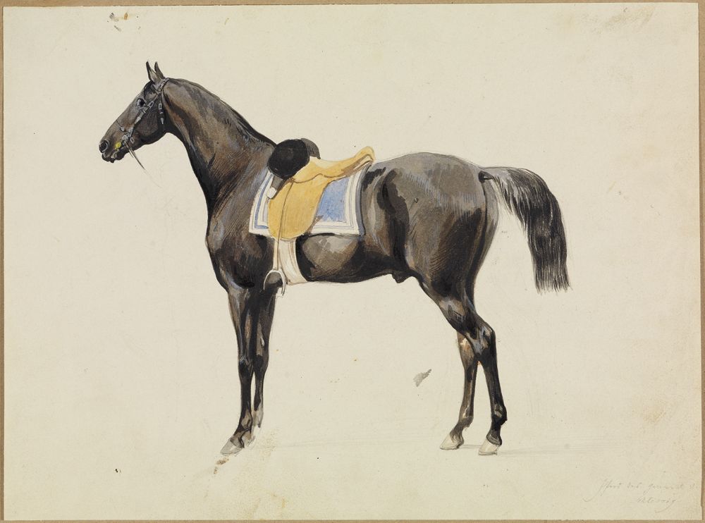 Feodor Dietz - Gesattelter Rappe, im Profil nach links stehend (Album von Studien [...] aus dem Schleswig-Holsteinischen Kriege (1848-1850), enthaltend circa 80 Blätter; L: Blatt 88)