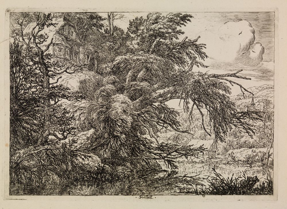 Jacob Isaackszoon van Ruisdael - Bauernhaus auf einem Hügel