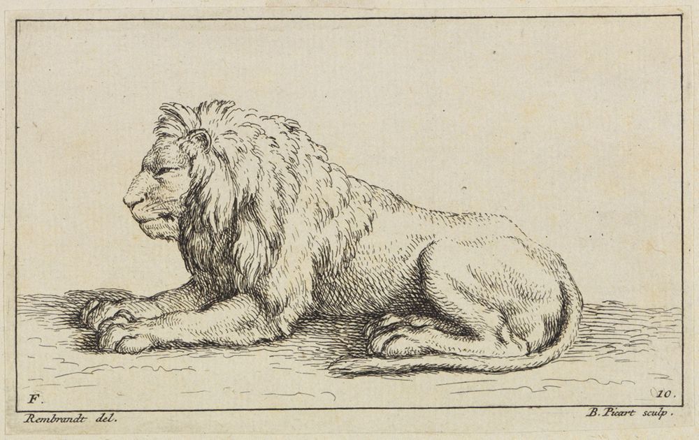 Bernard Picart (1673) - Liegender Löwe im Profil nach links