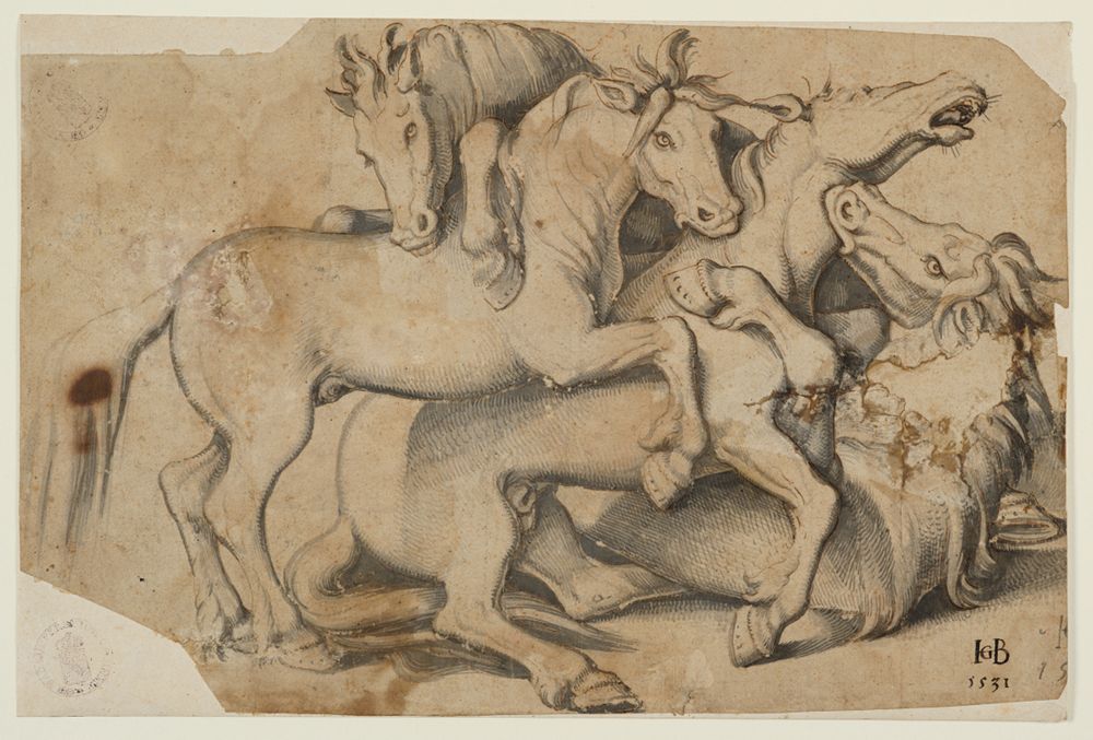 Hans Baldung - Vier kämpfende Hengste