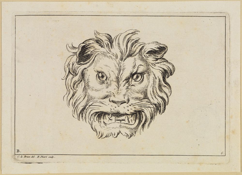 Bernard Picart (1673) - Liegender Löwe en face