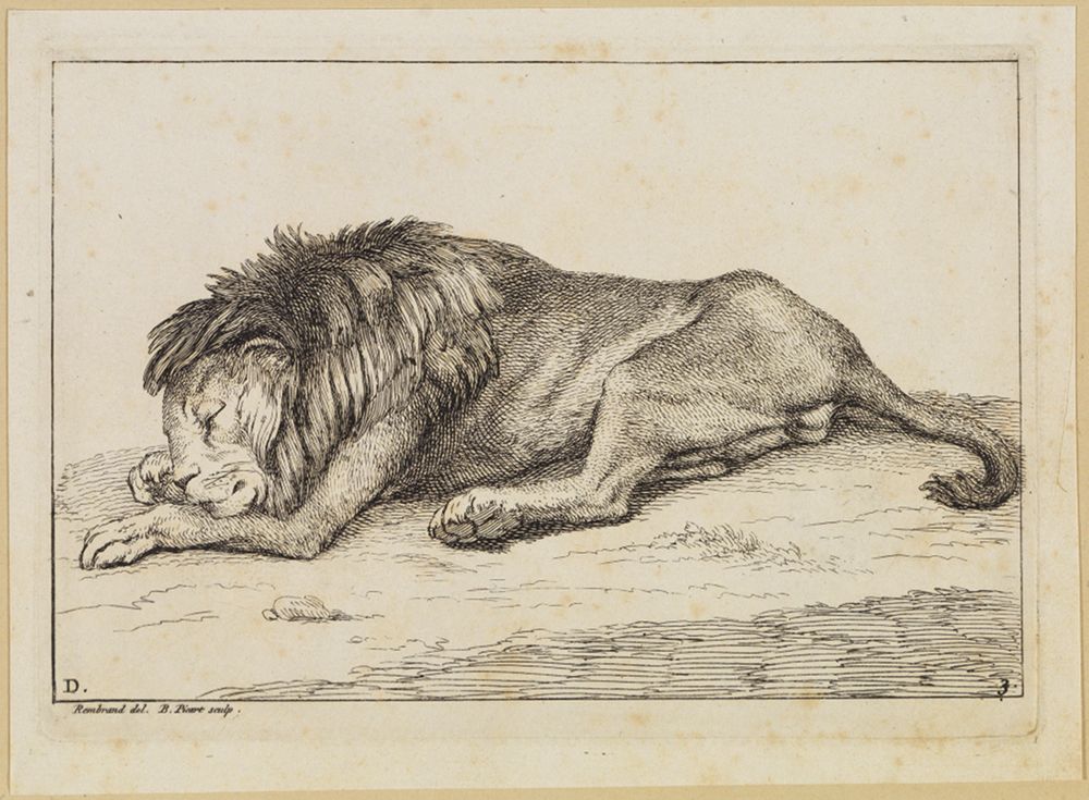 Bernard Picart (1673) - Dösender Löwe