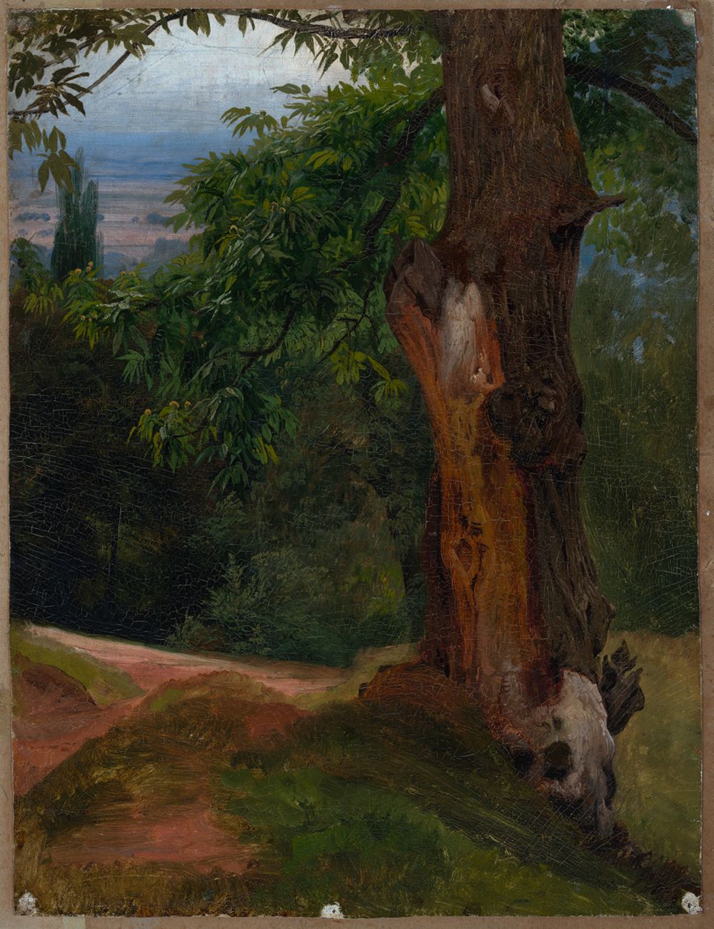 Die Baumstudie von Johann Wilhelm Schirmer zeigt einen großen Baum im Vordergrund, hinter ihm erstreckt sich ein weitläufiges Tal, das von sanften Hügeln und Wiesen geprägt ist.