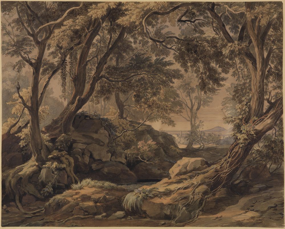 Johann Wilhelm Schirmer - Waldlandschaft mit Blick auf Olevano und den Monte Cavo
