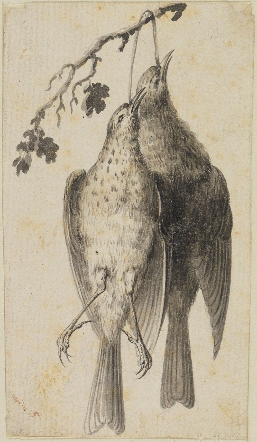 Johannes Esaias Nilson - Zwei tote Vögel