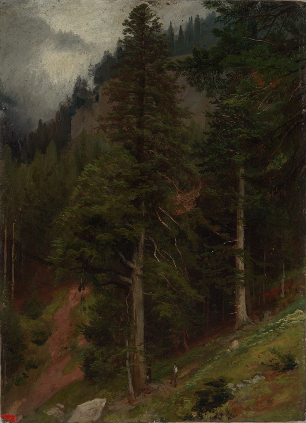 Johann Wilhelm Schirmer - Abhang im Tannenwald