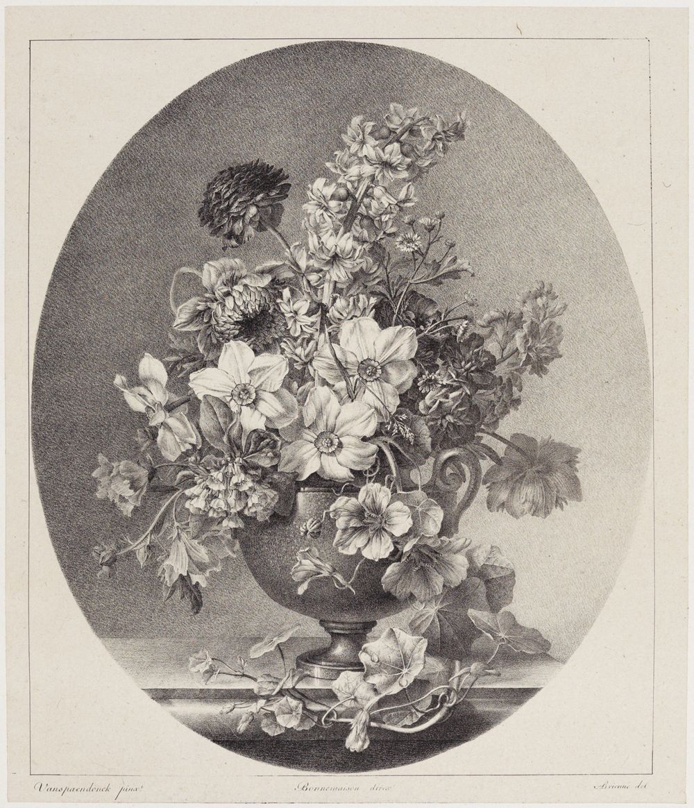 Auguste Piquet de Brienne - Blumenstillleben mit Narzissen in einer Vase