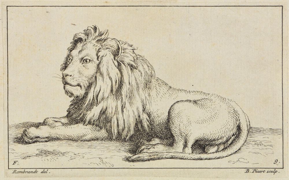 Bernard Picart (1673) - Stehender Löwe nach rechts