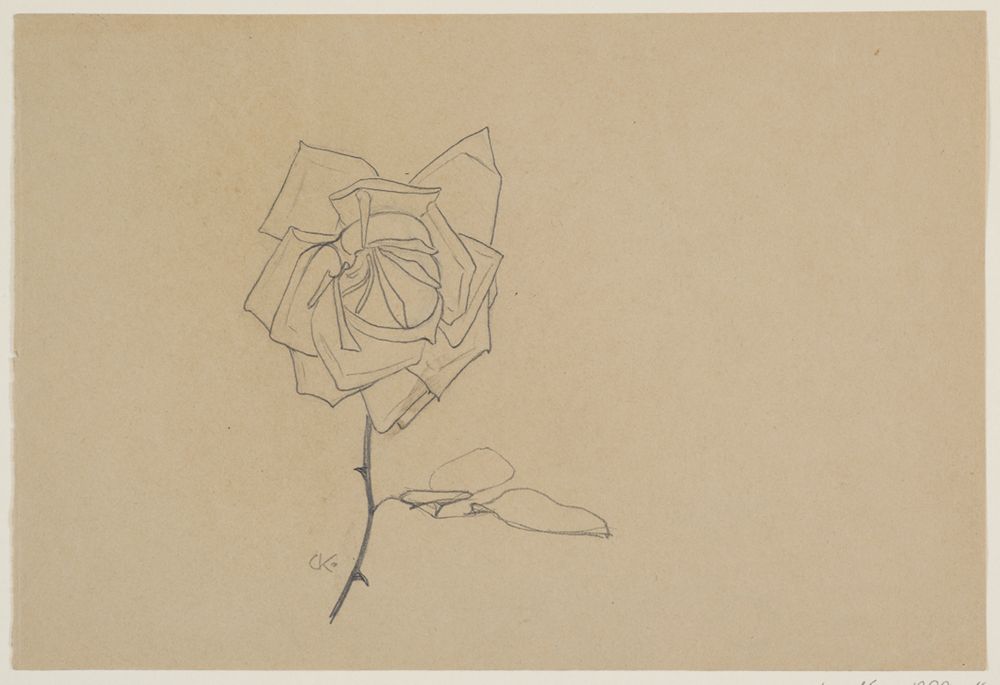 Gustav Kampmann - Stilisierte Rose