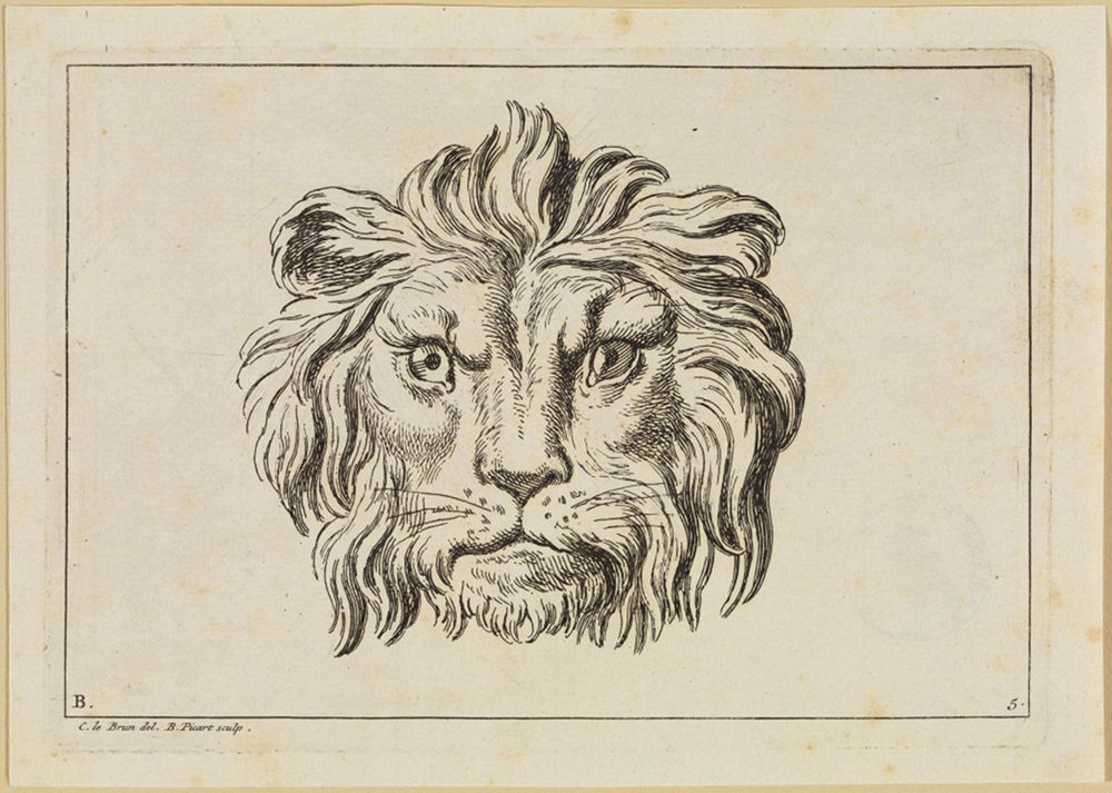 Bernard Picart (1673) - Löwe in Angriffshaltung