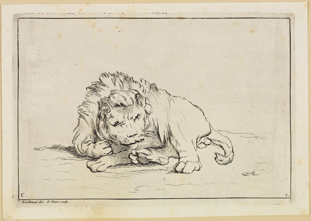 Bernard Picart (1673) - Stehender Löwe nach oben blickend