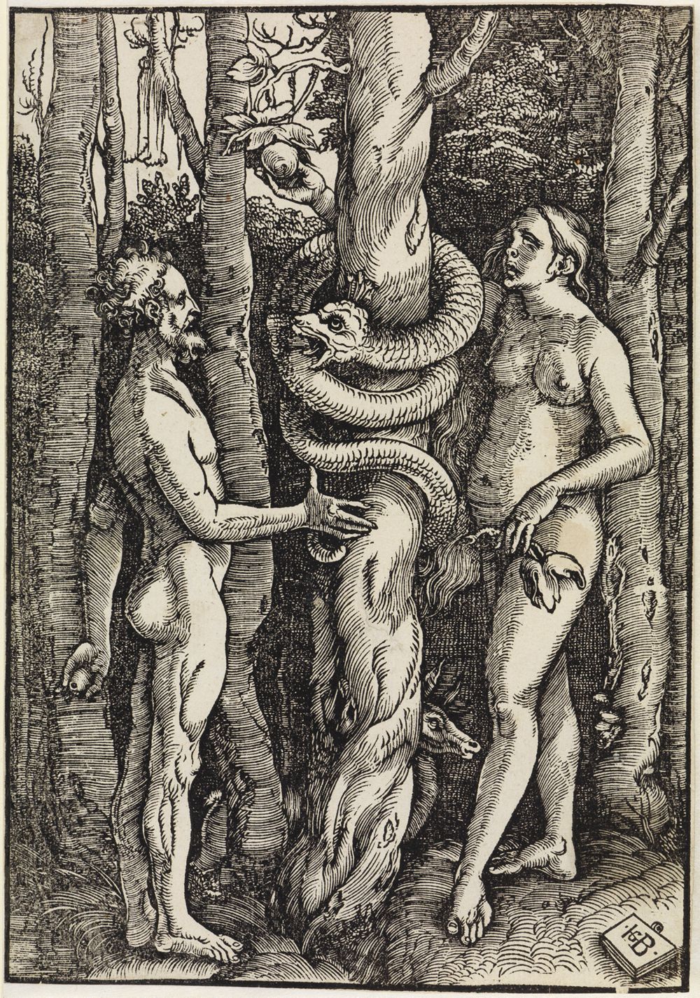 Hans Baldung - Adam und Eva