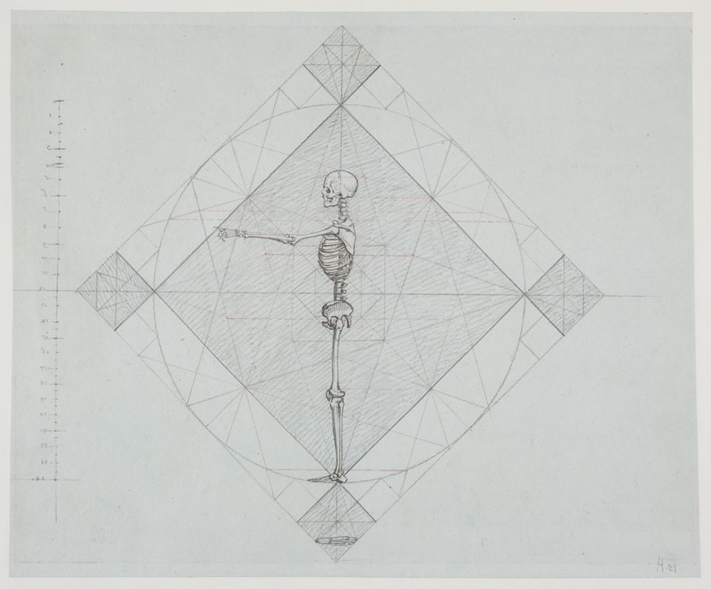 Philipp Jakob Becker - Proportionsstudie: Profilansicht eines Skeletts mit waagerecht erhobenen Armen (Menschliche anatomische Studien und Aktstudien, Blatt 3)
