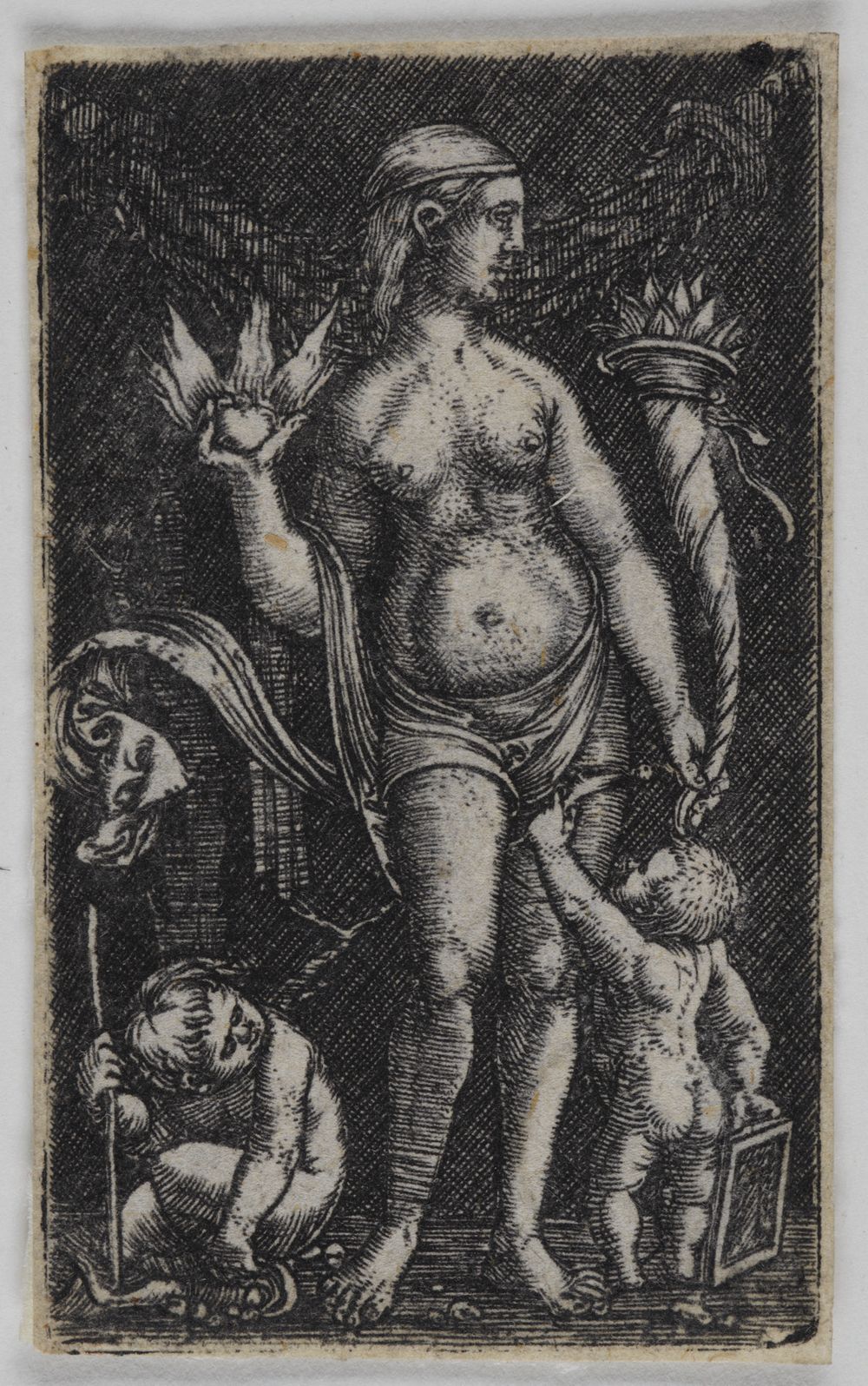 Albrecht Altdorfer - Venus mit zwei Putten
