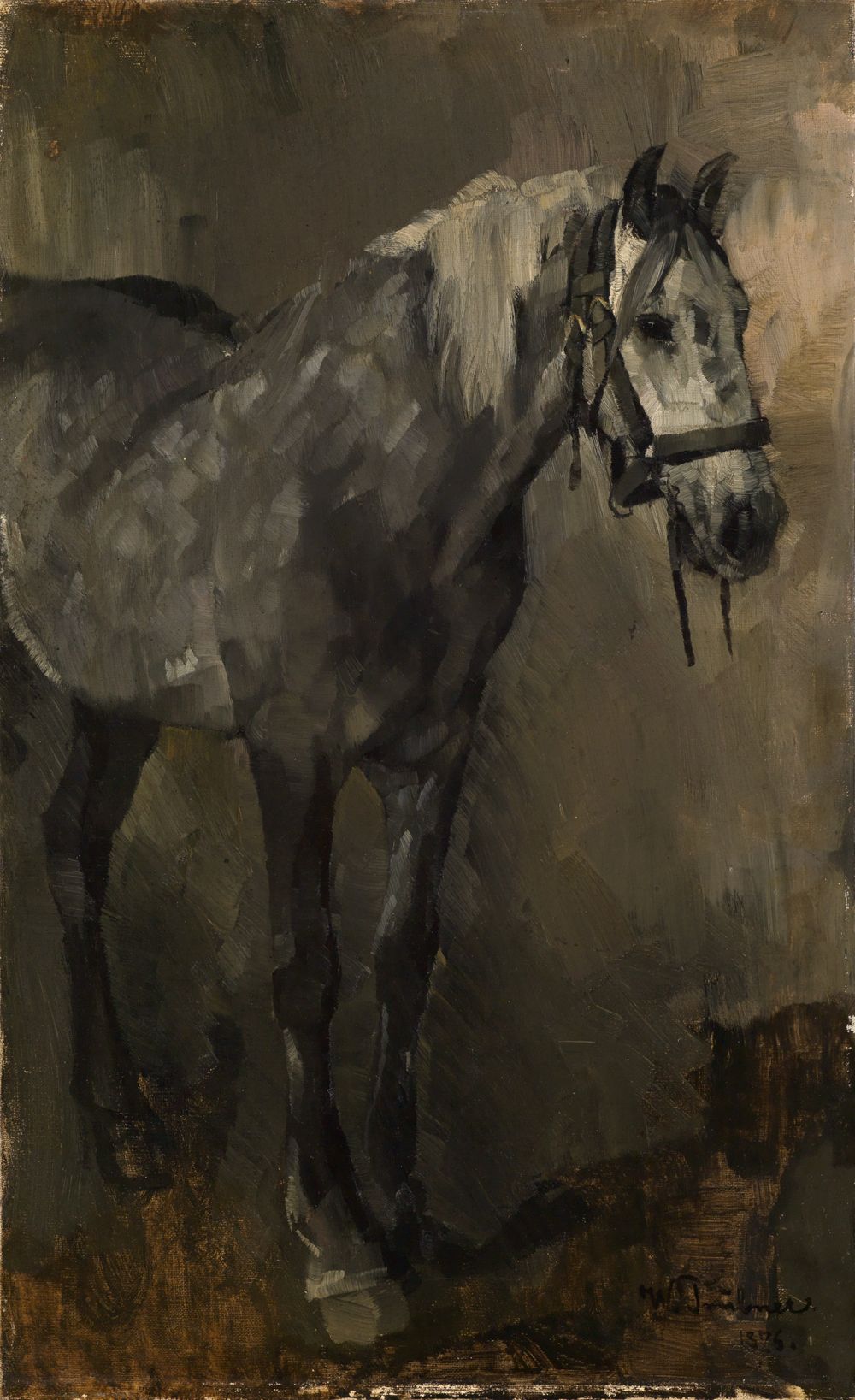 Wilhelm Trübner - Schimmel in Dreiviertelansicht