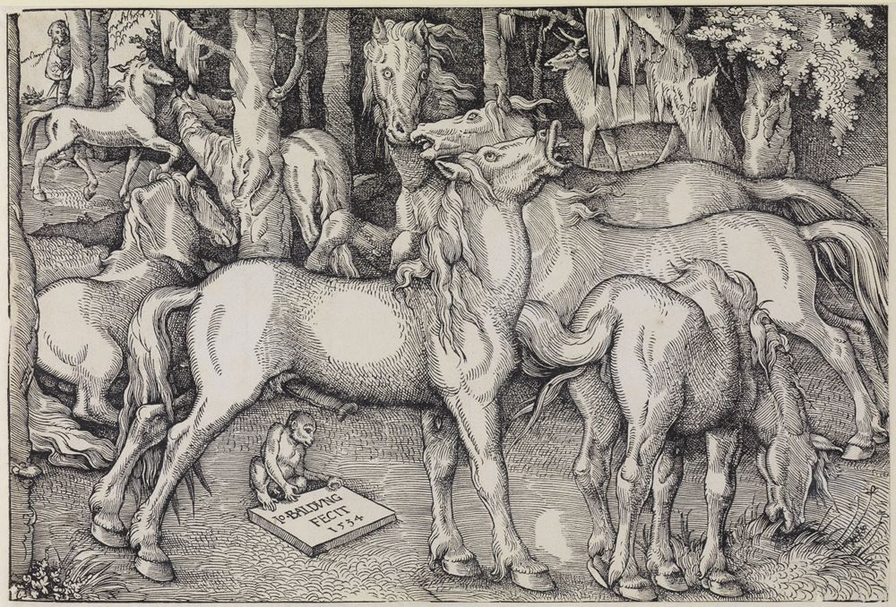 Hans Baldung - Gruppe von sieben wilden Pferden