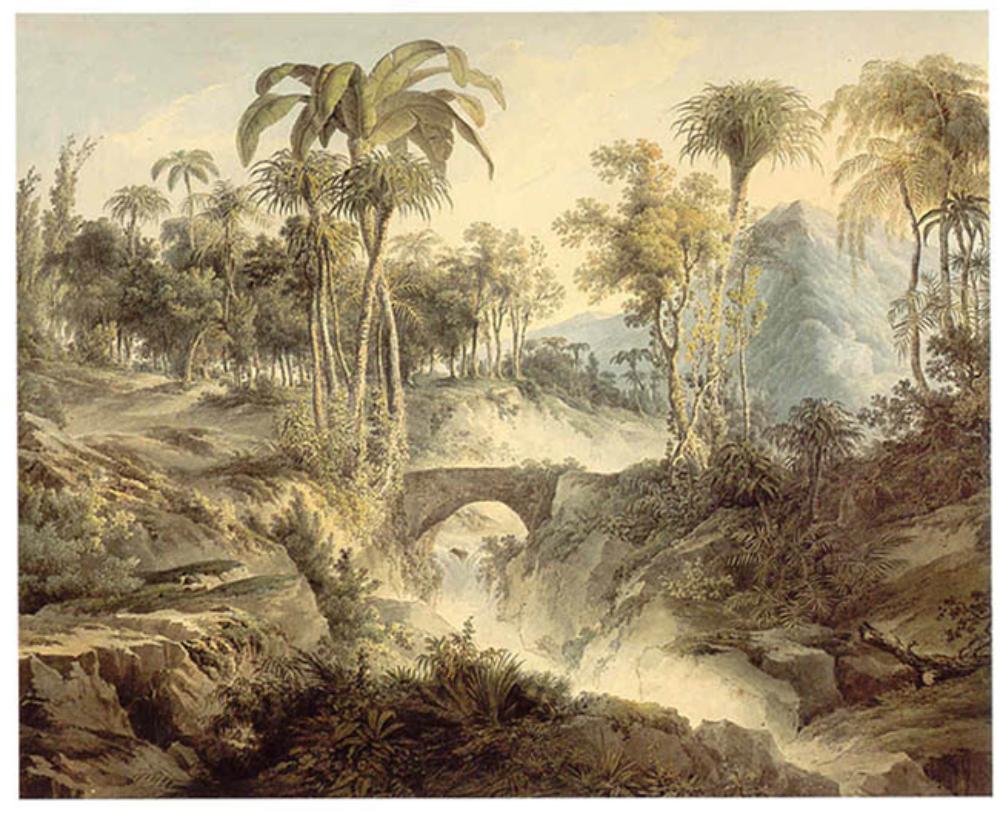 Friedrich Helmsdorf - Südliche Gebirgslandschaft mit Palmen und Wildbach