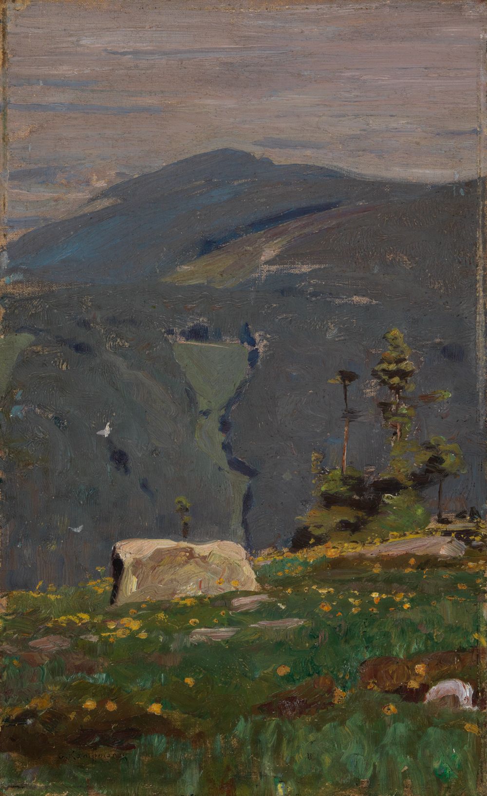Gustav Kampmann - Blick von der Hornisgrinde