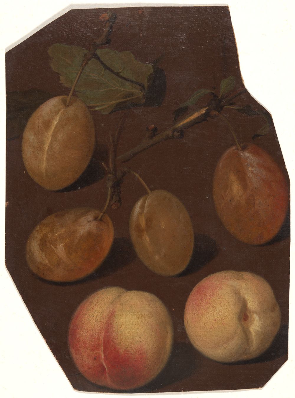 Charles William Hamilton - Zwei Pfirsiche und zwei Zweige mit hellen Pflaumen auf braunem Grund