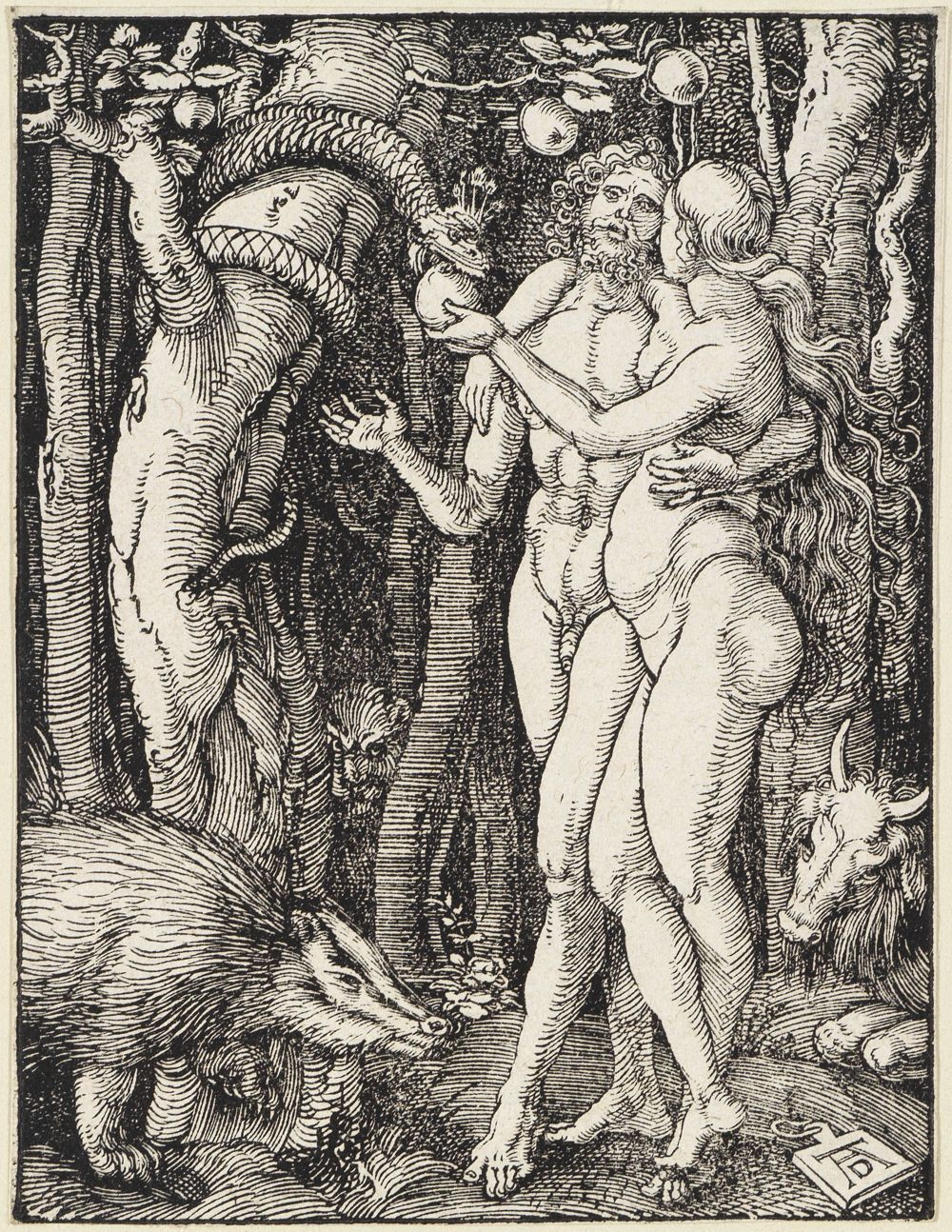 Albrecht Dürer - Der Sündenfall