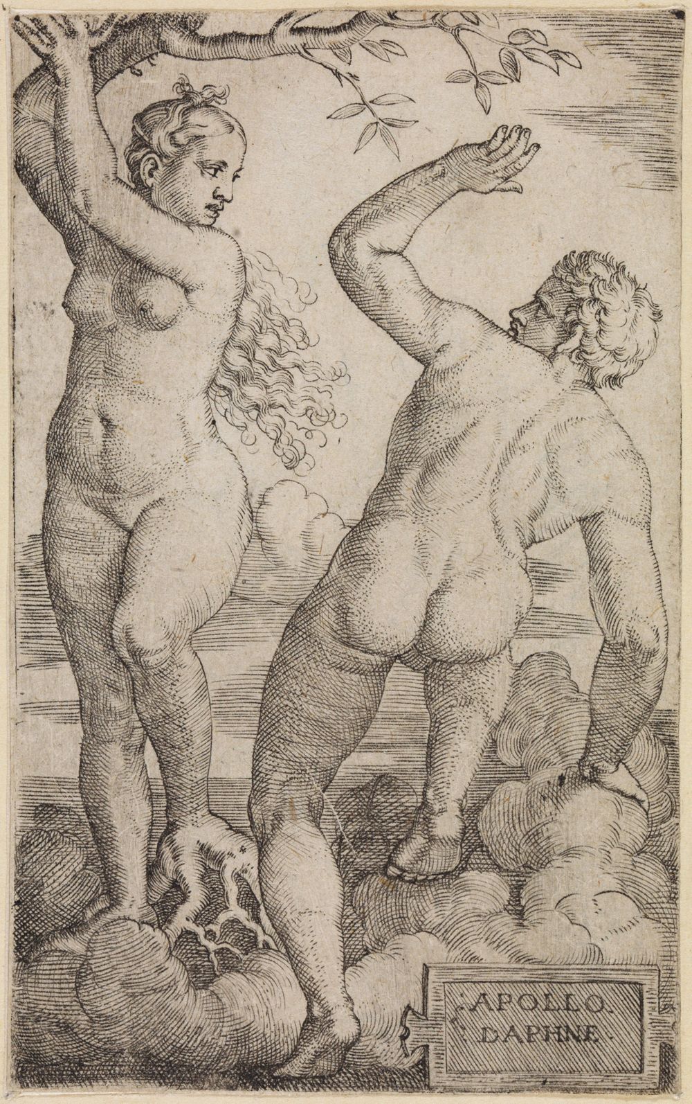 Barthel Beham - Apoll und Daphne
