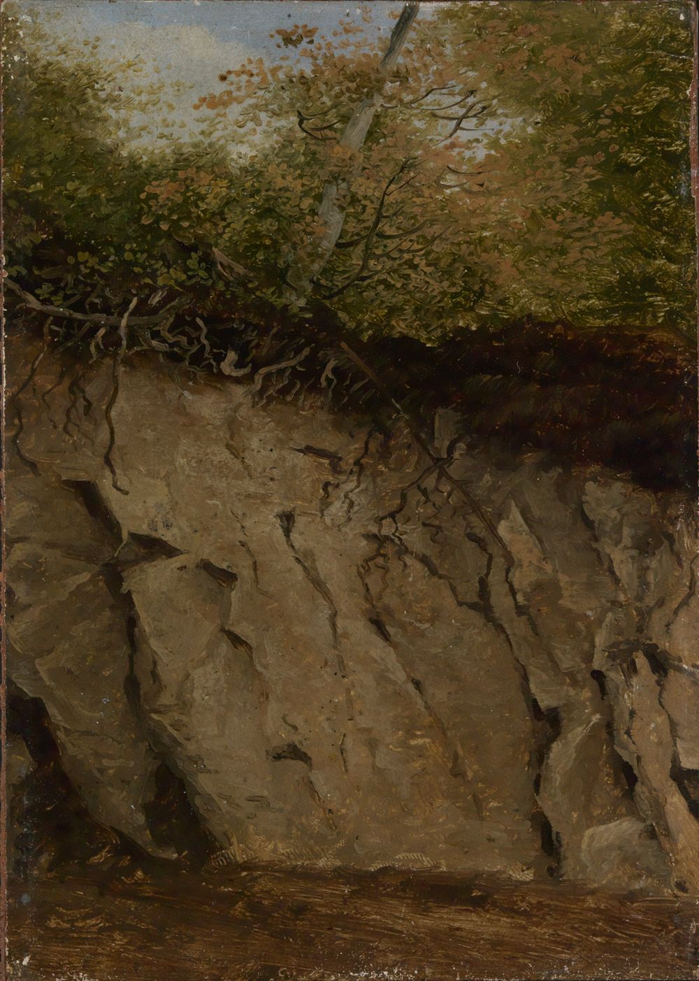 Georg Wilhelm Issel - Felshang