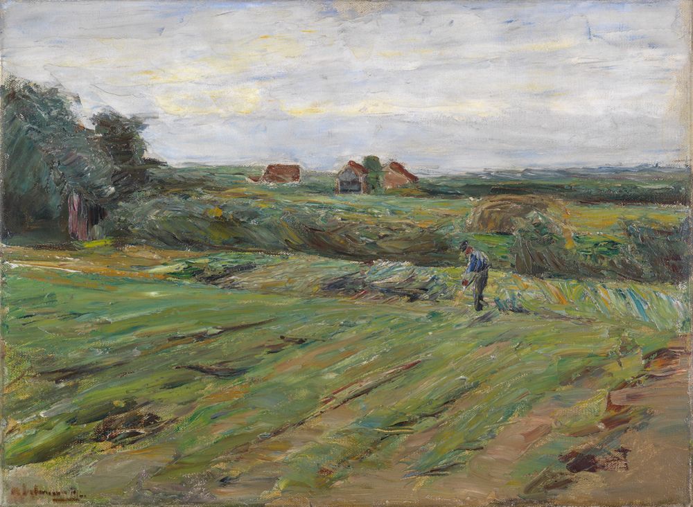 Auf dem großen Feld arbeiten Menschen und ernten das Getreide. Einige bücken sich, andere tragen Garben.