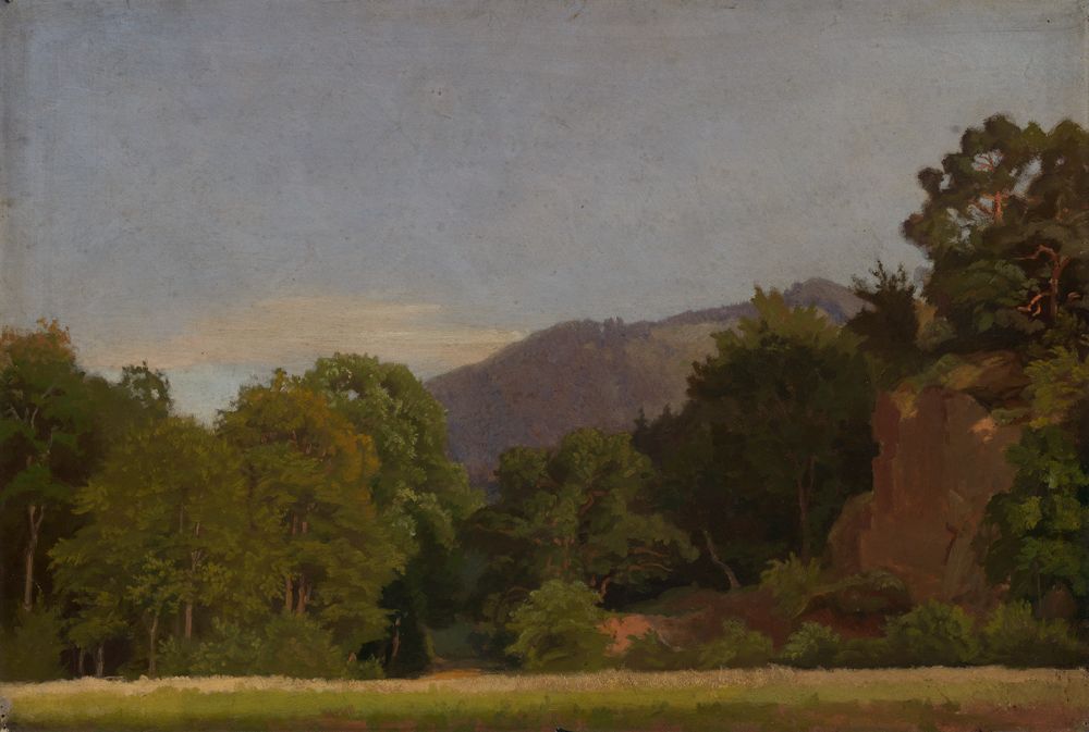 Emil Lugo - Wiese am Waldrand mit Höhenzug in der Ferne