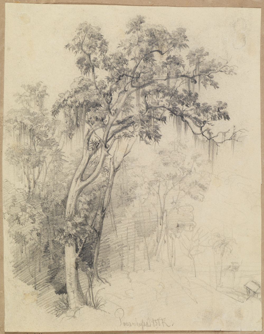 Ferdinand Keller - Im Urwald- Baumstudie
