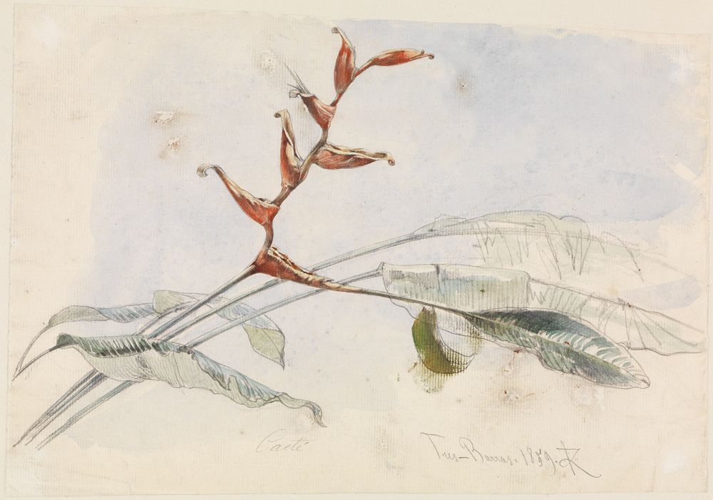 <p>„Blühender Kaktus bei Tres Barras“ zeigt einen Kaktus in voller Blüte. Der Kaktus ist mit vielen bunten Blüten bedeckt</p><p>Um den Kaktus herum befindet sich eine trockene, sandige Landschaft.</p>