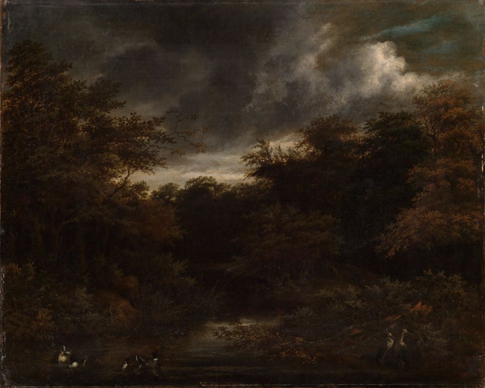 Jakob van Ruisdael - Kopie - Waldwasser mit Enten