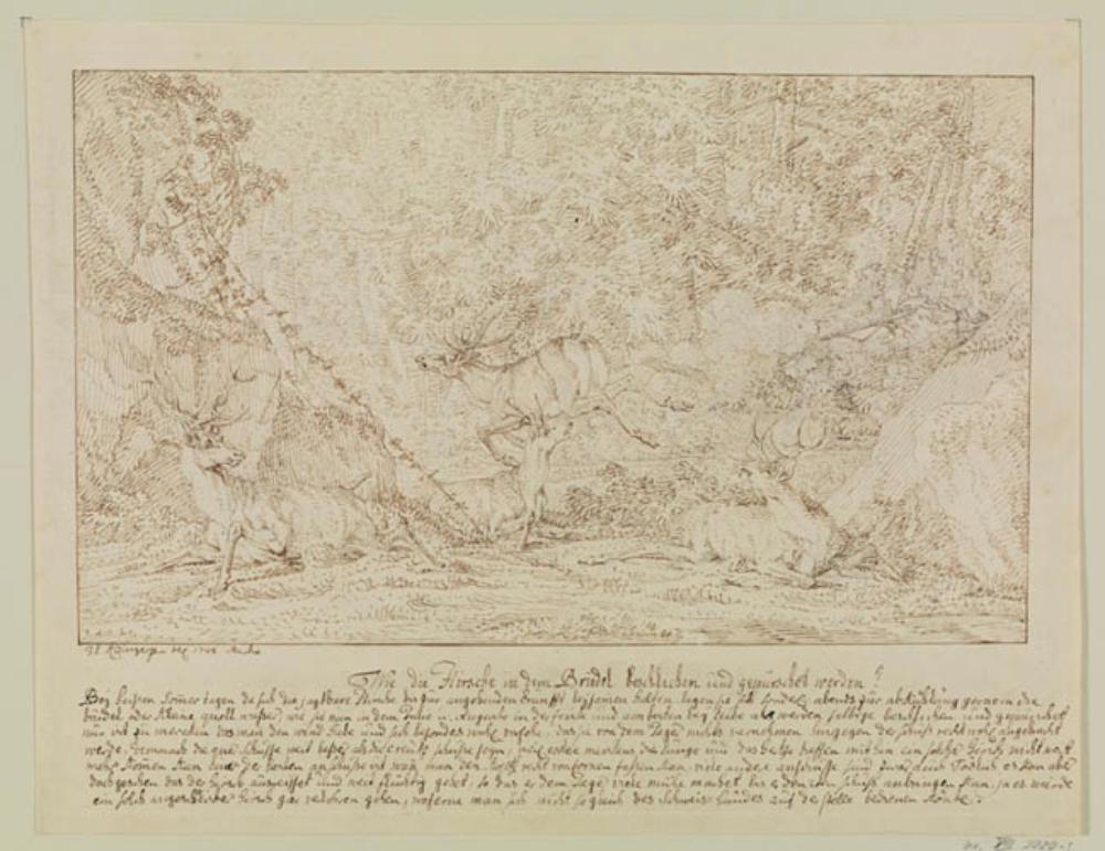 Johann Elias Ridinger - Wie die Hirsche in dem Brudel beschlichen und gepürschet werden