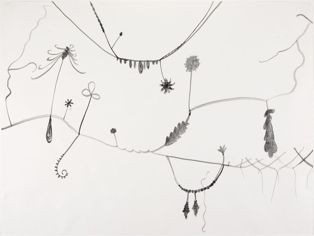 Silvia Bächli - Floréal