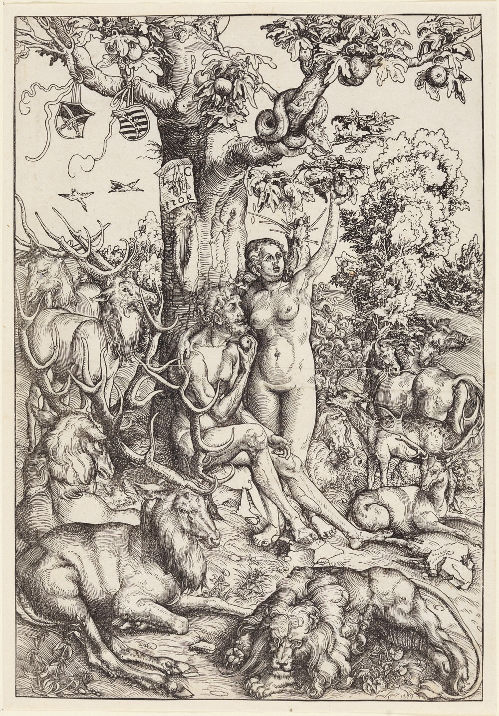 Das Bild von Lucas Cranach zeigt Eva, die gerade einen Apfel gepflückt hat. Adam steht neben ihr, eine Schlange windet sich um den prächtigen Apfelbaum. Viele weitere Tiere und Details sind um sie herum zu sehen.