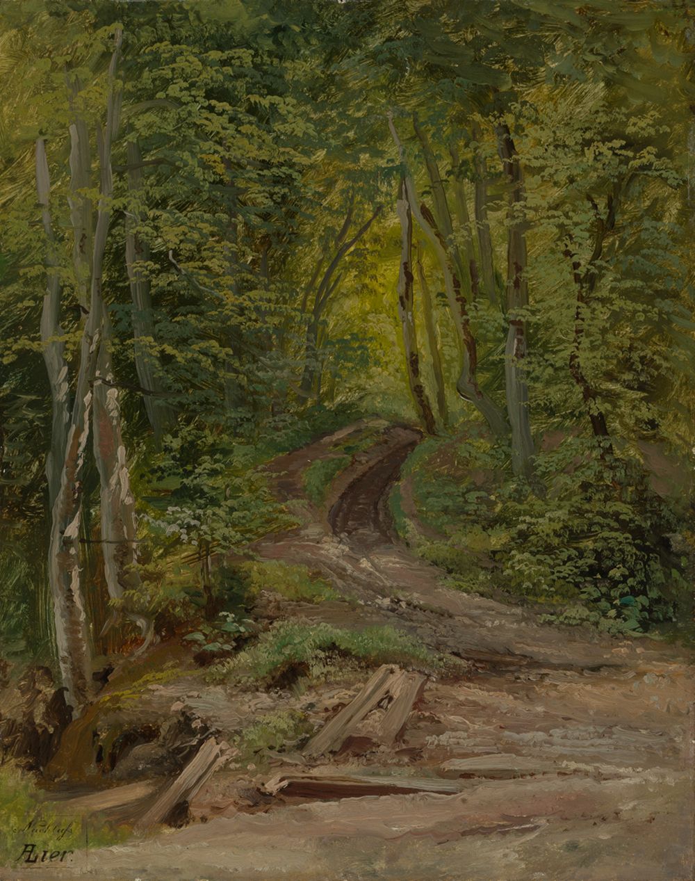 Adolf Heinrich Lier - Waldinneres
