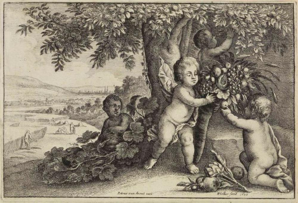 Wenzel Hollar - Die Erde