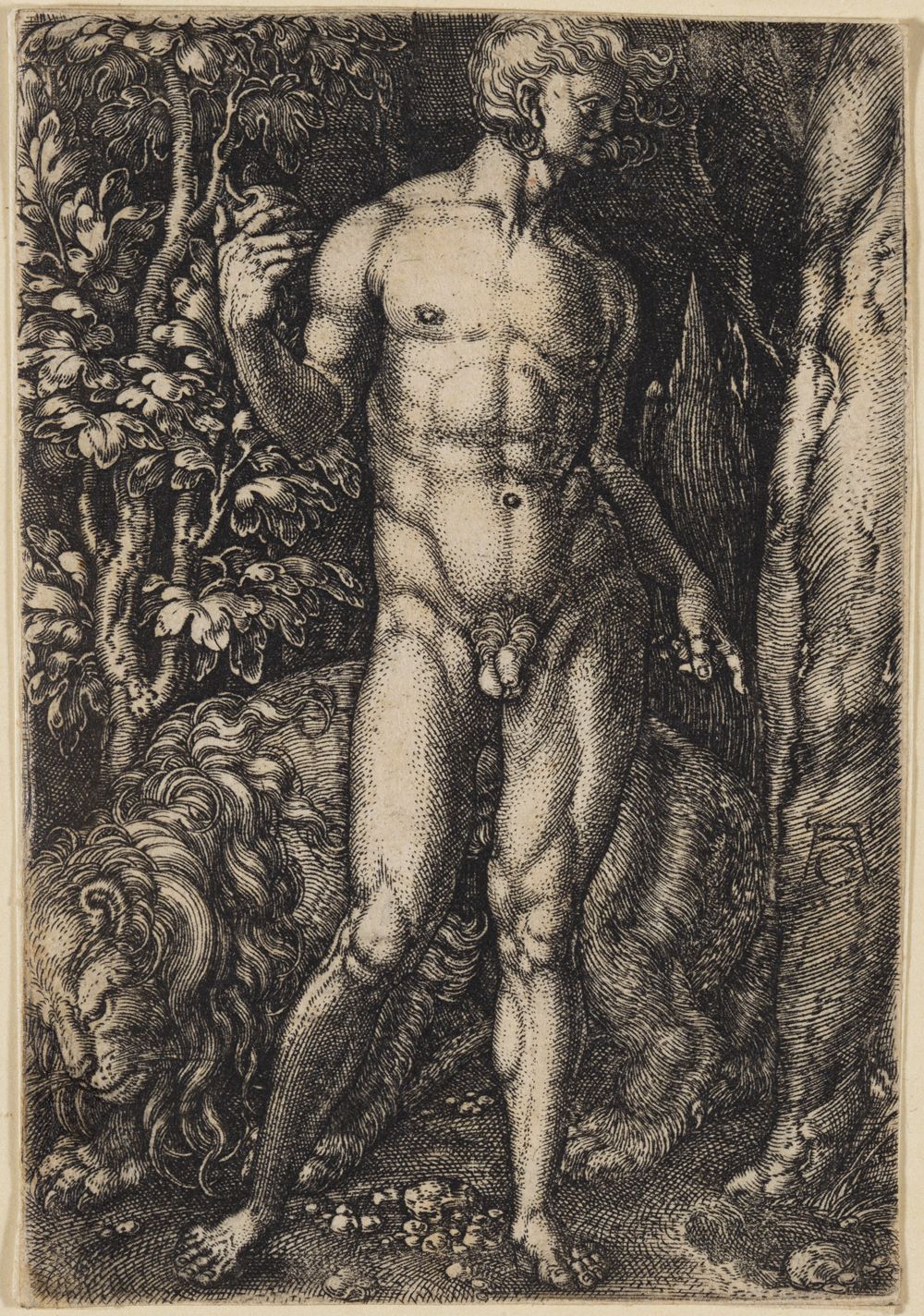 Heinrich Aldegrever - Adam (Adam und Eva)