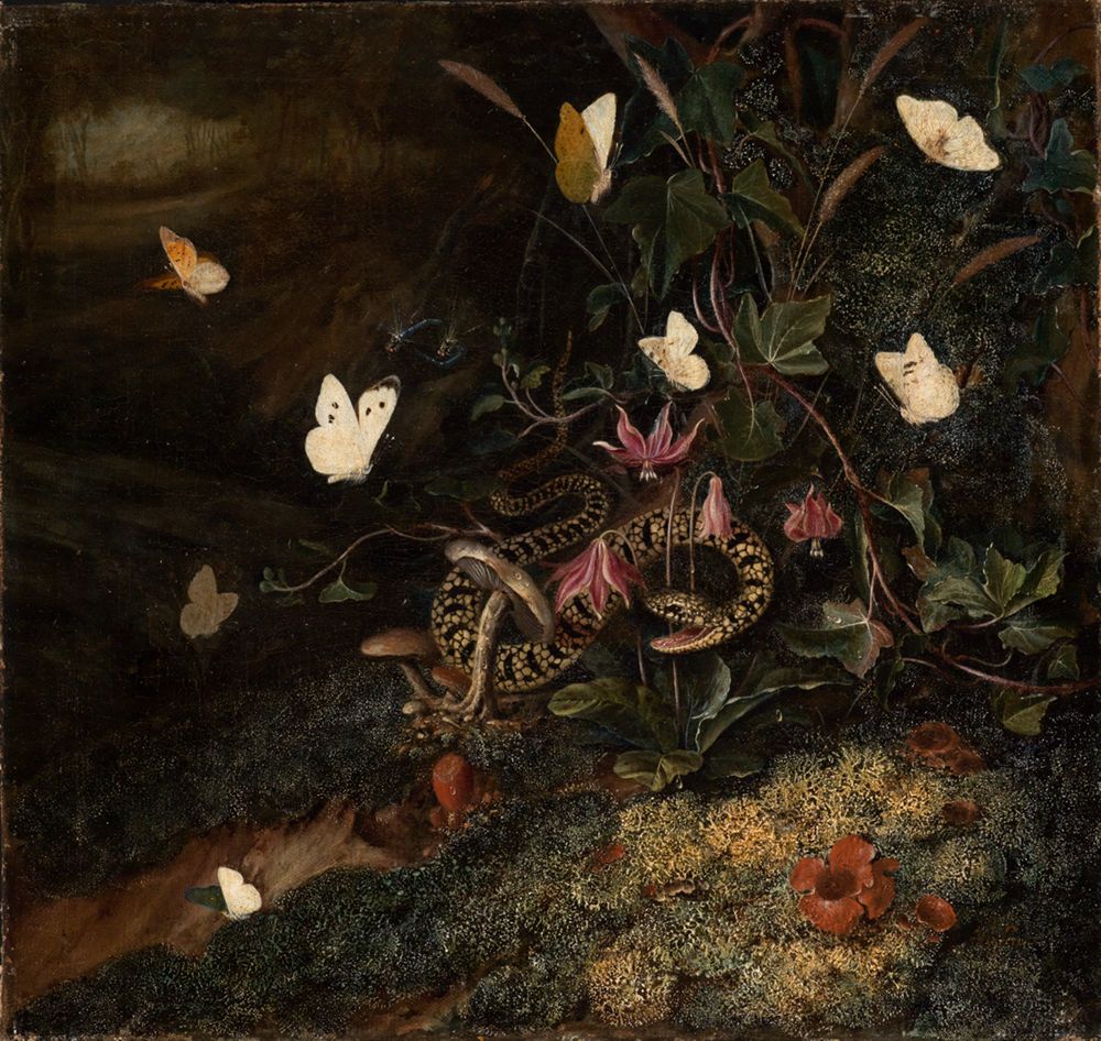 Otto Marseus van Schrieck - Unkraut mit Schlange und Schmetterlingen
