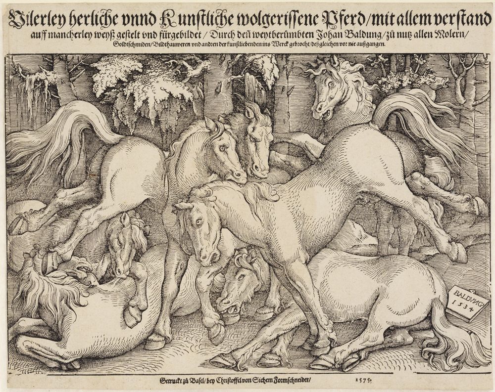 Hans Baldung - Gruppe von sieben wilden Pferden