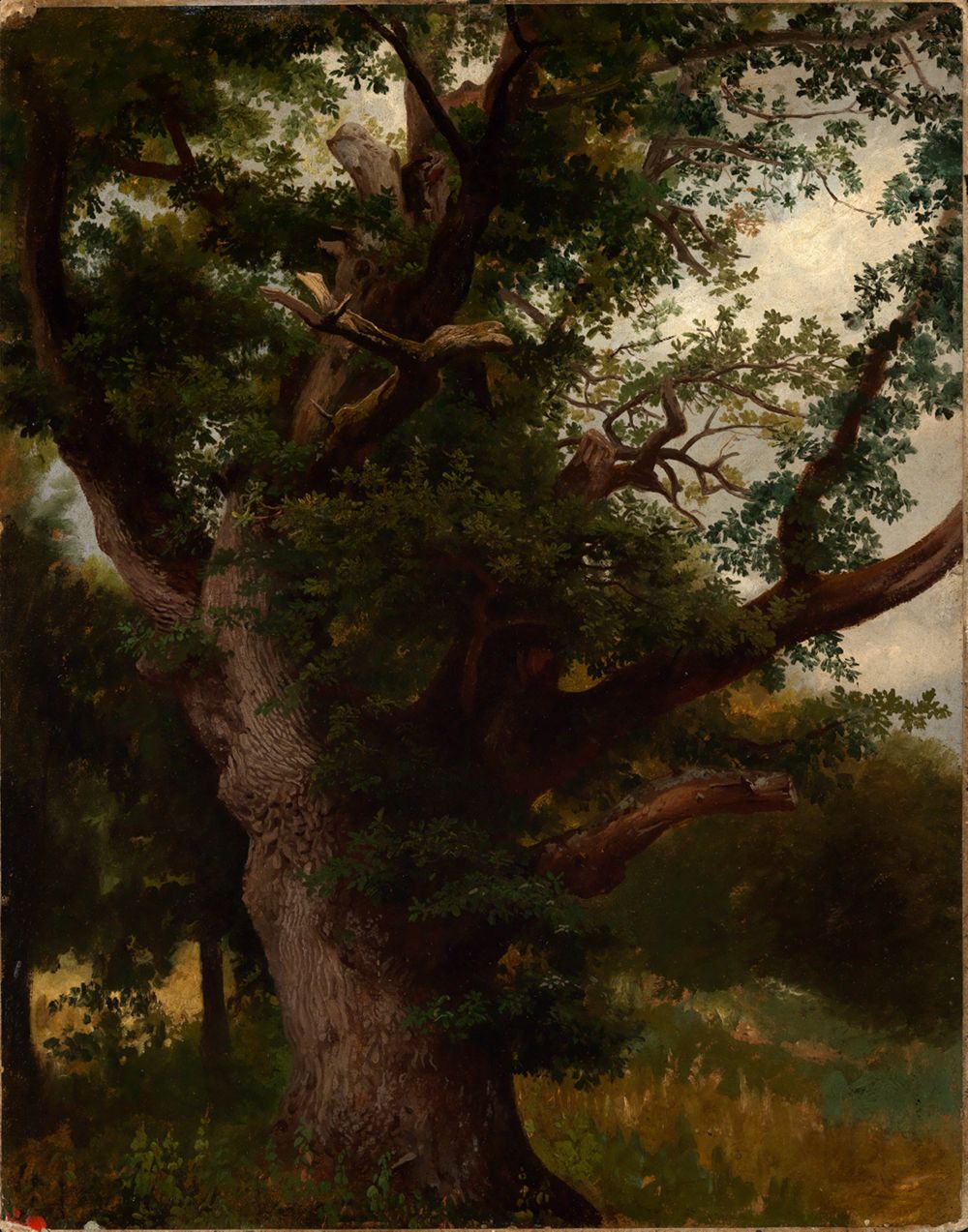 Johann Wilhelm Schirmer - Eichbaum