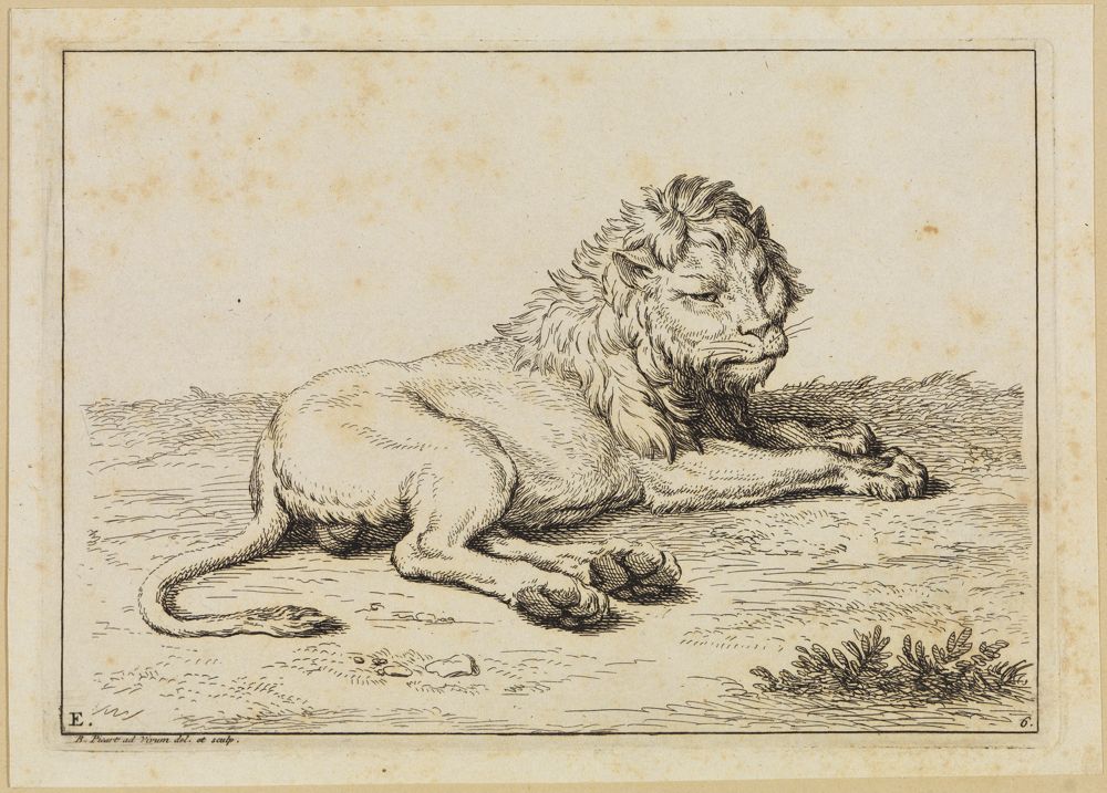 Bernard Picart (1673) - Zwei Löwenköpfe fauchend bzw. beißend