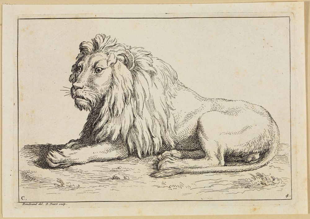 Bernard Picart (1673) - Liegender Löwe im Profil nach rechts