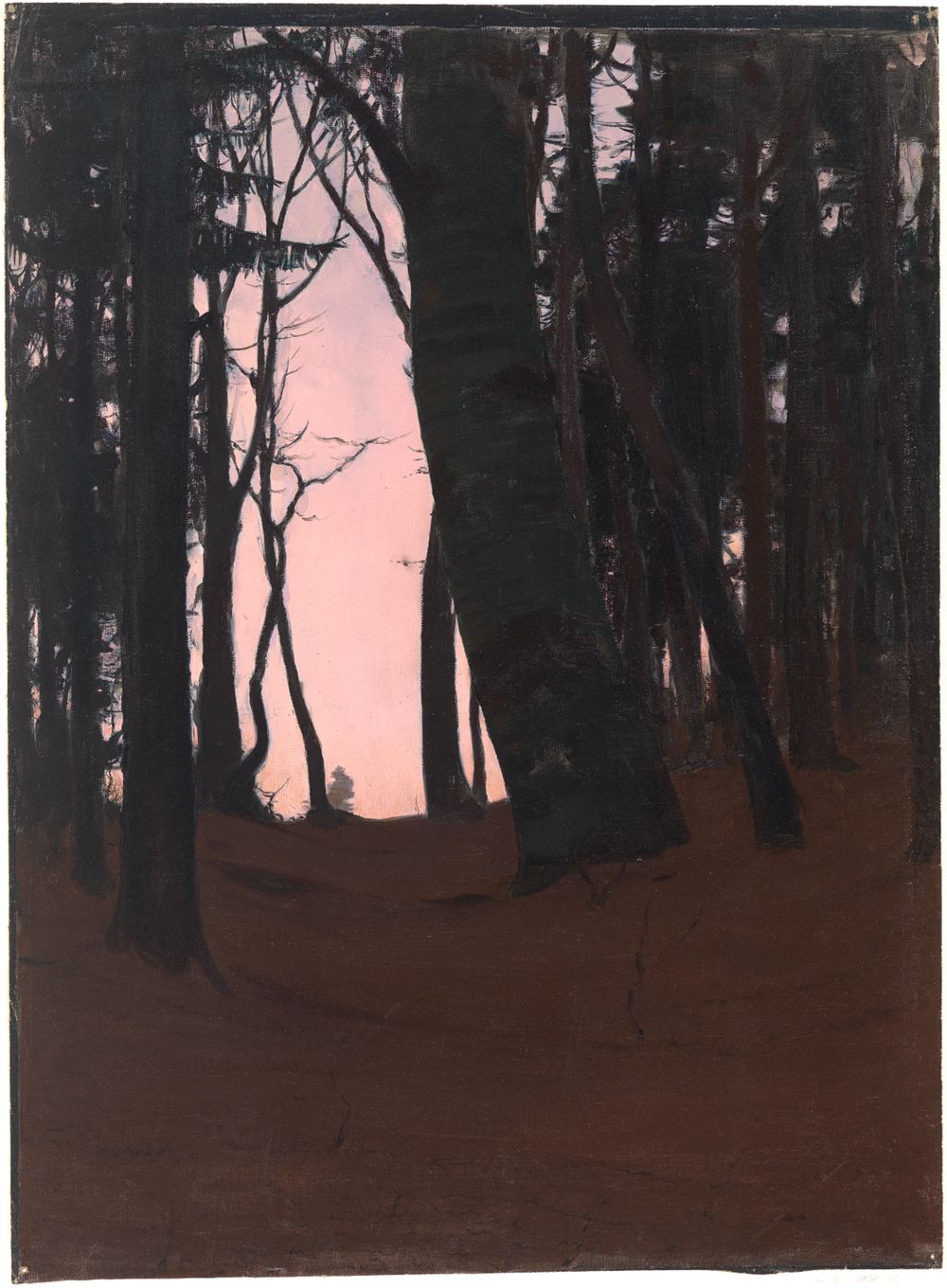 Abend im Wald